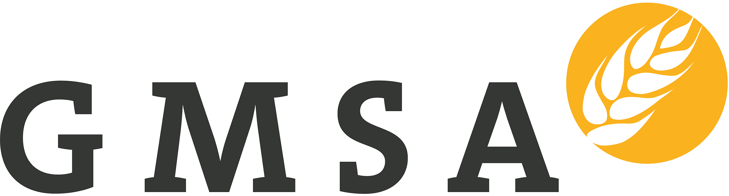 GMSA, référence client d'Awareness Expert